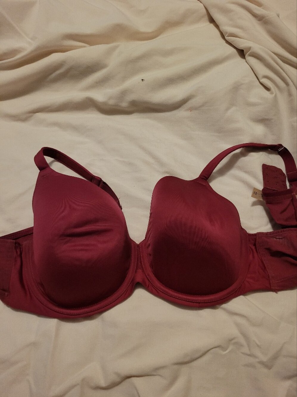 Cacique Molded T-Shirt Bra - Wine